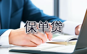 神农架保单贷